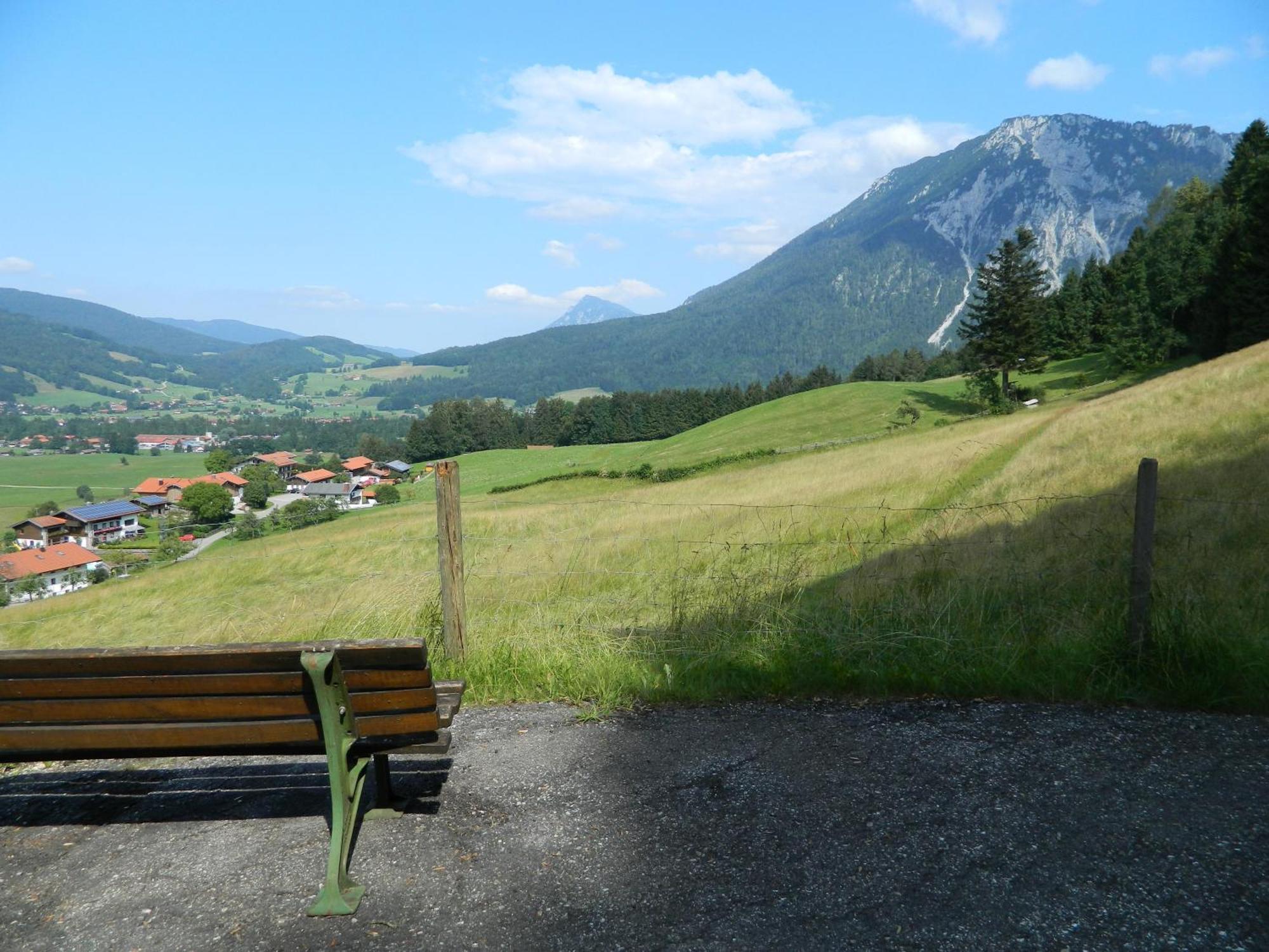 Hotel Garni Haus Alpine - Chiemgau Karte Inkl Ruhpolding Ngoại thất bức ảnh